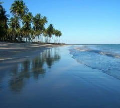 PRAIA DOS CARNEIROS