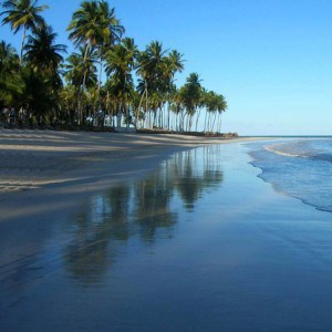 PRAIA DOS CARNEIROS