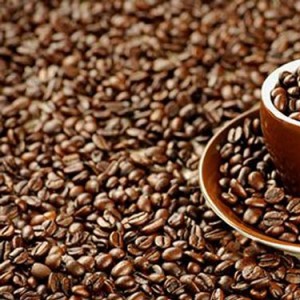 CAFÉZINHO : The Famous Brazilian Coffee